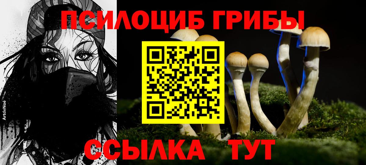 Галлюциногенные грибы мицелий Шелехов