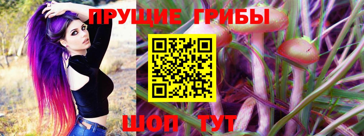Шелехов  Галлюциногенные грибы Cubensis  Псилоцибиновые грибы прущие грибы  Вход с VPN 